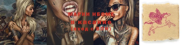гашик Абаза