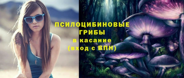 дживик Алексеевка