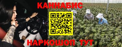 дмт Тула