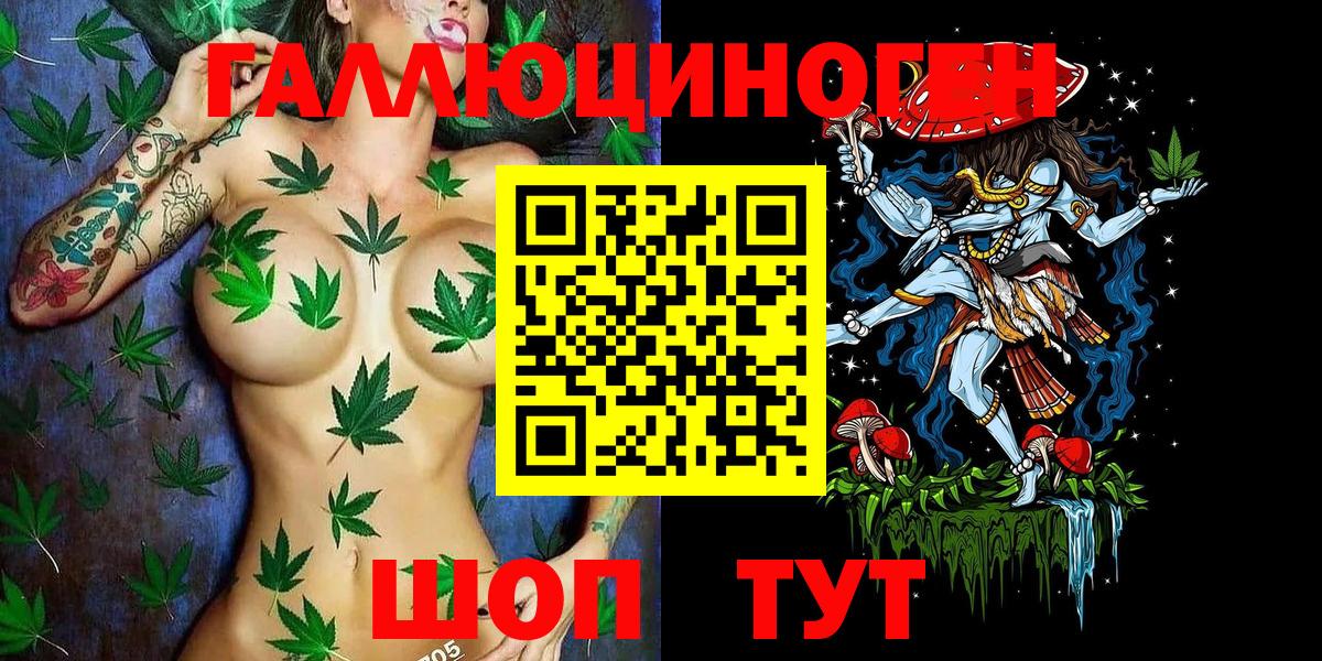 Псилоцибиновые грибы Cubensis Подольск