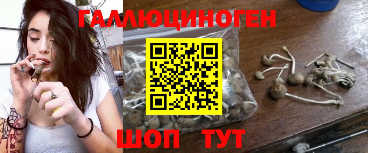Подольск  Псилоцибиновые грибы Magic Shrooms  Вход с VPN  Псилоцибиновые грибы прущие грибы 